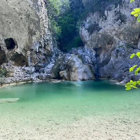 Flora Molieres-sur-Ceze