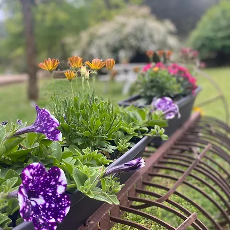 Hébergement de vacances Flora *