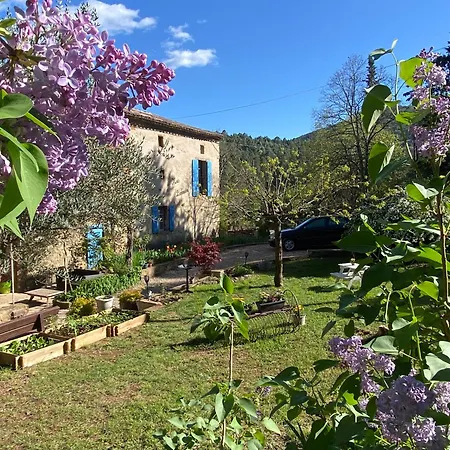 Hébergement de vacances Flora *