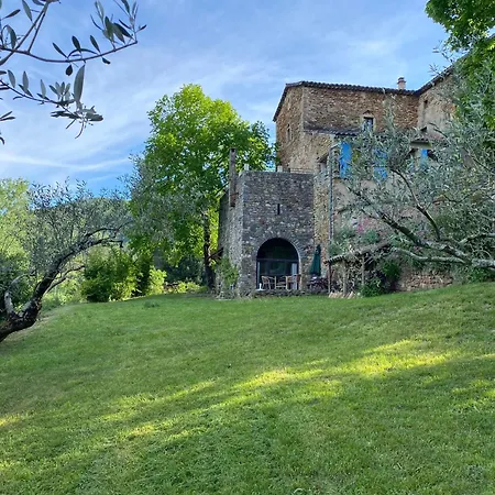 Flora Molieres-sur-Ceze