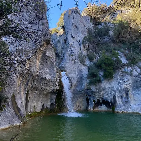 Flora * Molieres-sur-Ceze