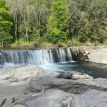 Flora Molieres-sur-Ceze